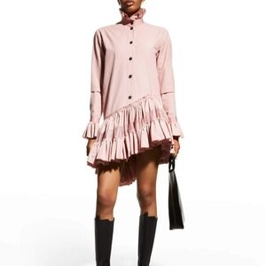 NWOT UNTTLD Rubin Ruffle Long Sleeve Shirt Coquette Dollcore Mini Dress
